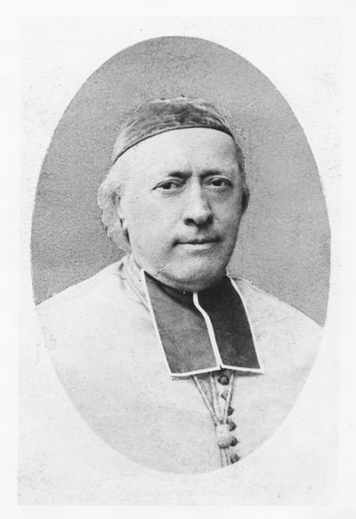Retrato de Charles-Emile Freppel de Petit